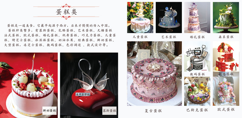 选技校不是退路是新路 济宁美开乐以技能赋能青少年成长新征程